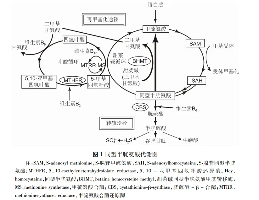 k1523-640 (1).png